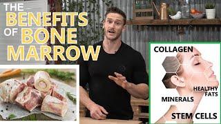 Why Eat Bone Marrow? Benefits of Collagen, Minerals, Fat & Stem Cells in Marrow by Thomas DeLauer