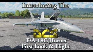 Introducing the DCS F/A-18C Hornet - First Look & Flight
