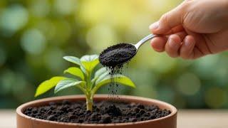 This Natural Powder Makes Plants Thrive & Keeps Pest Far Away!