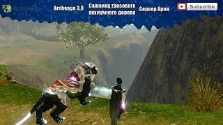 ArcheAge 3.0 - Саженец грозового акхиумного дерева, выгодно или нет? Тестируем