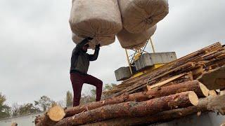 The Art of Tree Processing: A Different Perspective