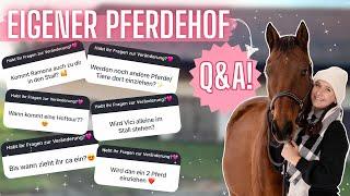 HOOFTOUR? EINSTELLER? FINANZIERUNG? XXL Q&A!!!