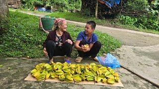 Thanh and the old woman picked star fruit to sell, the duck came in and ate all the young corn.