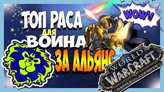 Выбираем Лучшую Раса для Воина за Альянс в БФА! World of Warcraft : BFA !