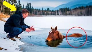 Horse Refuses to Leave Freezing Lake, His Owner Turned Pale When He Found Out Why...