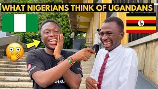 What Nigerians Think of Uganda & Ugandans *Surprising Response*