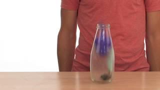 SICK Science® - Cool science experiments from Steve Spangler.