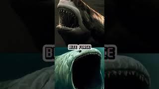 blop vs Megalodon