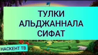 ТУЛКИ-АЛЬДЖАННАЛА СИФАТ