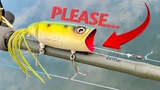 It Needs You to Pull the String. | Lure Review