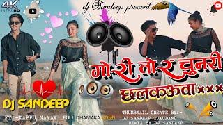 Gori tor chunri // new nagpuri song 2023 //  Sadri dj remix dj domnik style mix //