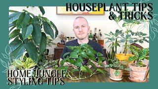 Home Jungle Styling Tips | Houseplant Tips & Tricks Ep. 26