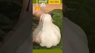 Modak recipe #shorts #gorakhpurirasoi #shortsfeed #ytshorts #food #ganeshchaturthi