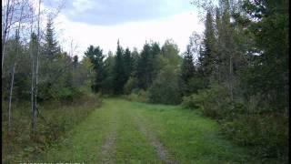 Northern Maine land for sale-7 acres in Perham.wmv