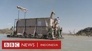 Misi menyelamatkan jerapah dengan rakit - BBC News Indonesia