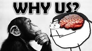 Why are humans the ONLY super intelligent animal?