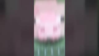 Pigstep Edit! Release. #viral #minecraft #pigeon #video #funny