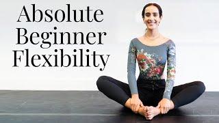 Stretches For BEGINNER FLEXIBILITY