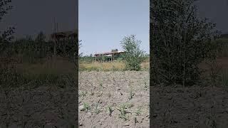19-iyun, 2025