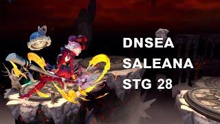 DNSEA Saleana STG28