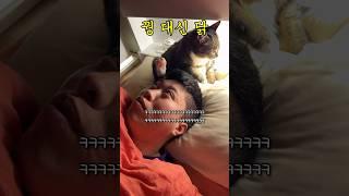 발 페티쉬 있는 고양이 집사 #shorts #shortvideo #고양이 #시트콤