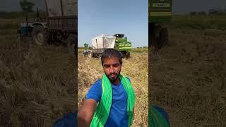 Pathi ammukochinam | #lifestyle #farming #villagelife #agriculture #vlog