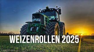 John Deere 6830 Premium beim Weizenrollen 2025 4K