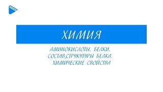 10 класс - Химия - Аминокислоты. Белки. Состав, структура белка. Химические свойства