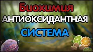 Биохимия. Лекция 54. Антиоксидантная система