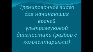 Тренировочное видео для начинающих докторов ультразвуковой диагностики с комментариями