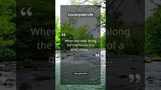 Walking Along Riverbanks in a Quiet Village | Peace Flowing Like Water