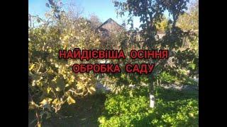 Викорінююча ОБРОБКА Саду восени-Найпростіший та Дієвий СПОСІБ Перевірений Роками та Поколіннями !!?