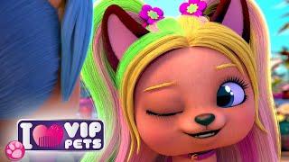  OPERAZIONE RECUPERO ACQUA  SPRING Vibes  VIP PETS  NUOVO Episodio CARTONI ANIMATI in ITALIANO