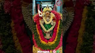 muruga#murugan #murugar #om #ommuruga #devotional #devotionalsong #muruganslogasmanthras #love #god