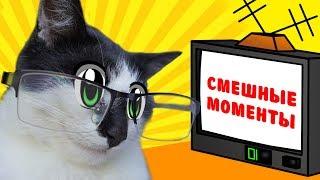 ЛУЧШИЕ ПРИКОЛЫ С КОТАМИ! КОТ и КОШКА МУРКА и  СМЕШНЫЕ МОМЕНТЫ СО СЪЕМОК! наши Приколы и Фейлы