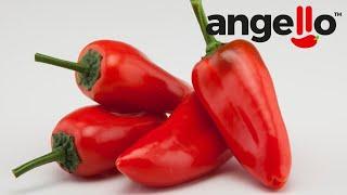 Angello Peppers Bring Convenience, Flavor, and Fun!