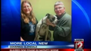 Injured Dog Found in Nativity Scene
