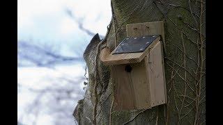 The Wildlife Garden Project - How to Make a Bird Box