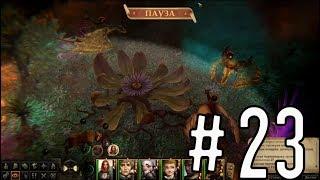 Pathfinder: Kingmaker [Прохождение #23] Иная реальность и Неувядающий цветок. Конец Сезона Цветения