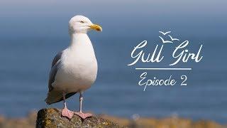 Gull Girl - Episode 2 - Lets Get Factual