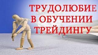 Трудолюбие при обучении трейдингу! Система трейдинга!