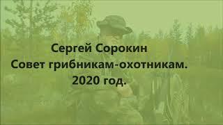 Сергей Сорокин  Совет грибникам охотникам и прочим. 2020.