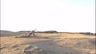Desert Shore Experience - Heuvelland EP
