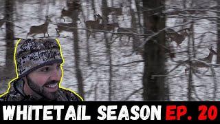 Late Season Deer Hunting in Fresh Snow! (MOTHERLOAD of Deer)