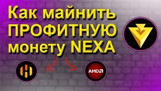 NEXA - ПРОФИТНАЯ МОНЕТА |  МАЙНИНГ НА HIVEOS ВИДЕОКАРТАМИ AMD