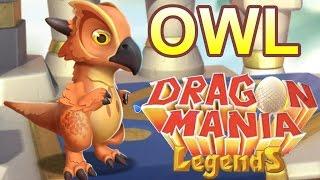 How to Breed the Owl Dragon - Dragon Mania Legends (Enchantment Dragon)