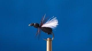 Fly Tying - Black Ant