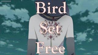 Sumire Kakei 「ＡＭＶ」|  Bird Set Free