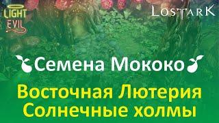 LOSTARK. Сбор семян Мококо. #21 Восточная Лютерия. Солнечные холмы.