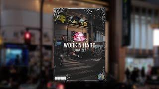 [FREE] Pain Loop Kit/Sample Pack 2024 - "Workin Hard"